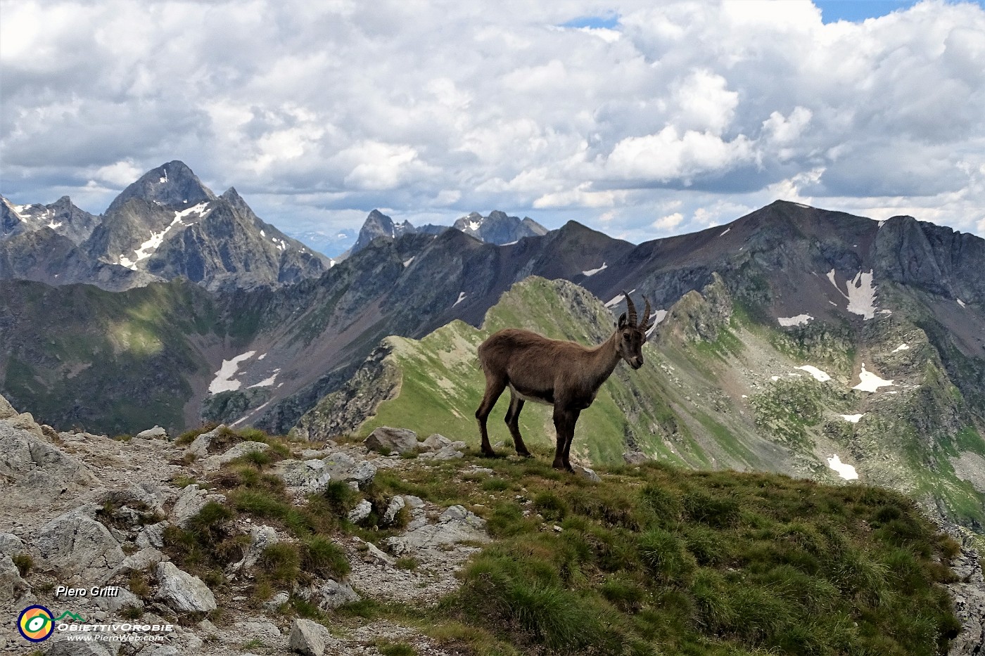 40 In Corno Stella con stambecco e panorama verso i Diavoli .JPG